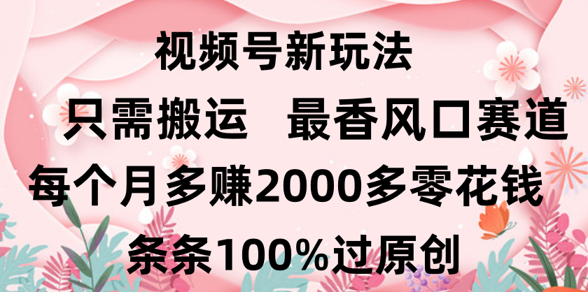 日入2000+，条条100%过原创，视频号最香风口赛道，小白轻松上手网创库-网创项目资源站-副业项目-创业项目-搞钱项目网创库