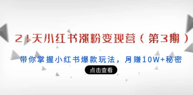 21天小红书涨粉变现营（第3期）：带你掌握小红书爆款玩法，月赚10W+秘密网创库-网创项目资源站-副业项目-创业项目-搞钱项目网创库