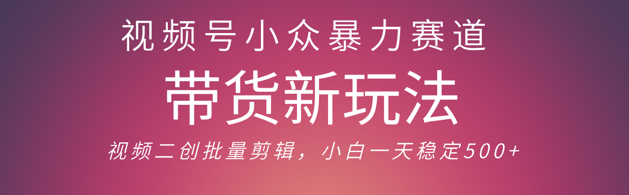 视频号小众暴力赛道，最新带货玩法 小白也能轻松日入500+ 保姆及教程网创库-网创项目资源站-副业项目-创业项目-搞钱项目网创库