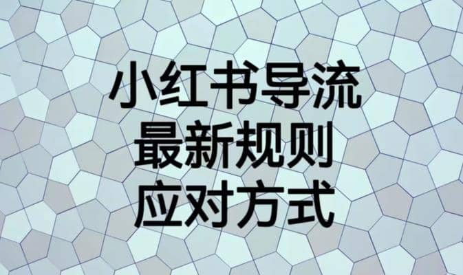 小红书导流最新规则应对方式【揭秘】网创库-网创项目资源站-副业项目-创业项目-搞钱项目网创库