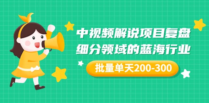 某付费文章：中视频解说项目复盘：细分领域的蓝海行业 批量单天200-300收益网创库-网创项目资源站-副业项目-创业项目-搞钱项目网创库