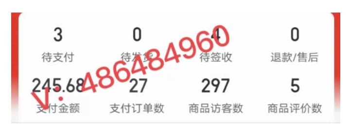 拼多多虚拟开店打卡群：新手到入门到精通网创库-网创项目资源站-副业项目-创业项目-搞钱项目网创库