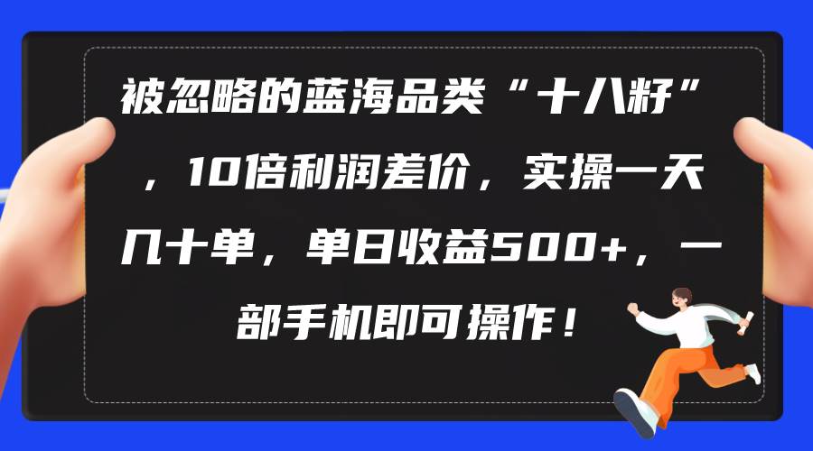 被忽略的蓝海品类“十八籽”，10倍利润差价，实操一天几十单 单日收益500+网创库-网创项目资源站-副业项目-创业项目-搞钱项目网创库
