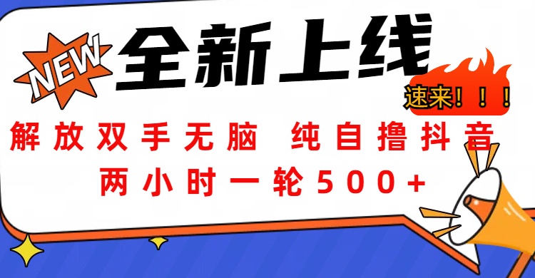 解放双手无脑 纯自撸抖音 两小时一轮500+网创库-网创项目资源站-副业项目-创业项目-搞钱项目网创库