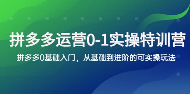 拼多多-运营0-1实操训练营，拼多多0基础入门，从基础到进阶的可实操玩法网创库-网创项目资源站-副业项目-创业项目-搞钱项目网创库