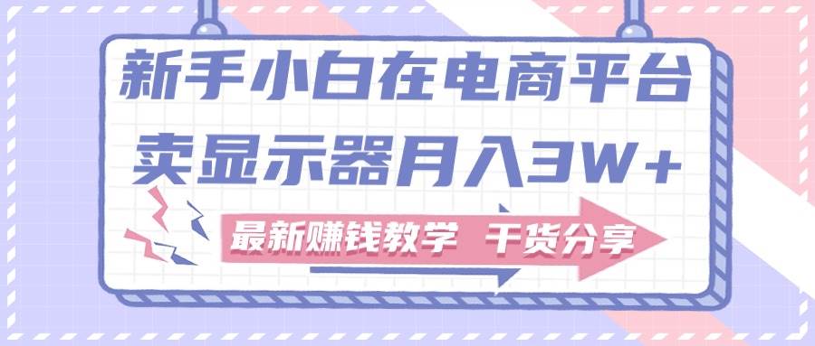 新手小白如何做到在电商平台卖显示器月入3W+，最新赚钱教学干货分享网创库-网创项目资源站-副业项目-创业项目-搞钱项目网创库