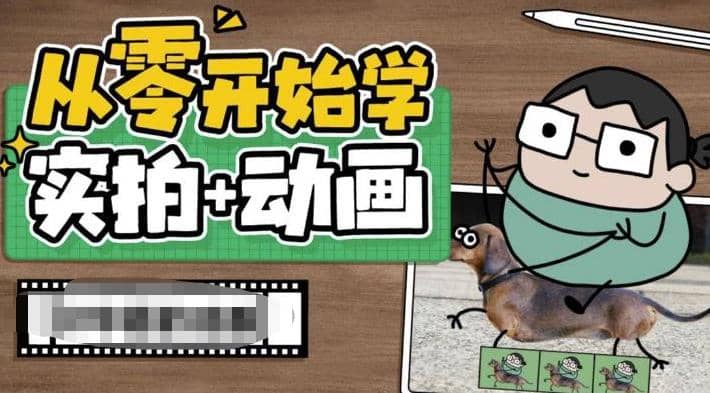 从零开始学实拍加动画，实拍加动画创意教程（49节视频课）网创库-网创项目资源站-副业项目-创业项目-搞钱项目网创库