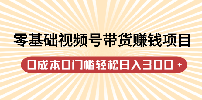 零基础视频号带货赚钱项目，0成本0门槛轻松日入300+【视频教程】网创库-网创项目资源站-副业项目-创业项目-搞钱项目网创库