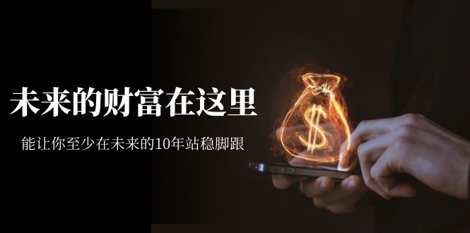 某收费文章《未来的财富在这里》能让你至少在未来的10年站稳脚跟网创库-网创项目资源站-副业项目-创业项目-搞钱项目网创库