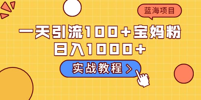 一天引流100+宝妈粉，日入1000+的蓝海项目（实战教程）网创库-网创项目资源站-副业项目-创业项目-搞钱项目网创库