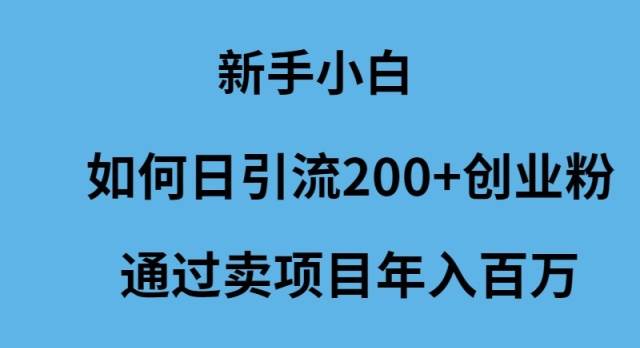 新手小白如何日引流200+创业粉通过卖项目年入百万网创库-网创项目资源站-副业项目-创业项目-搞钱项目网创库