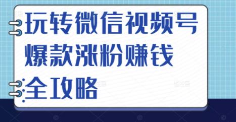 玩转微信视频号爆款涨粉赚钱全攻略，让你快速抓住流量风口，收获红利财富网创库-网创项目资源站-副业项目-创业项目-搞钱项目网创库