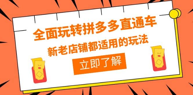全面玩转拼多多直通车，新老店铺都适用的玩法（12节精华课）网创库-网创项目资源站-副业项目-创业项目-搞钱项目网创库