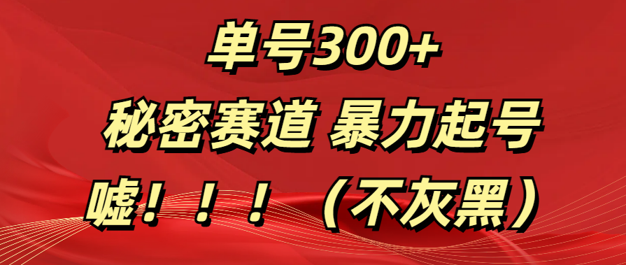 单号300+  秘密赛道 暴力起号  （不灰黑）网创库-网创项目资源站-副业项目-创业项目-搞钱项目网创库