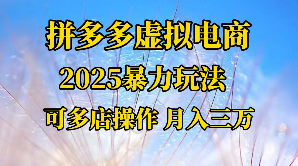 拼多多虚拟电商，不囤货不垫资的虚拟电商网创库-网创项目资源站-副业项目-创业项目-搞钱项目网创库