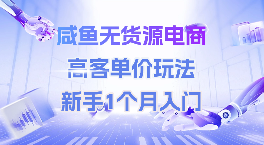 咸鱼无货源电商，高客单价玩法，新手1个月入门网创库-网创项目资源站-副业项目-创业项目-搞钱项目网创库
