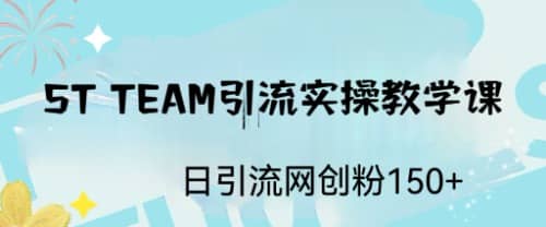 ST TEAM引流实操课，日引流网创粉100+网创库-网创项目资源站-副业项目-创业项目-搞钱项目网创库