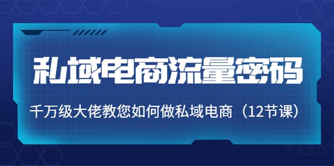私域电商流量密码：千万级大佬教您如何做私域电商（12节课）网创库-网创项目资源站-副业项目-创业项目-搞钱项目网创库