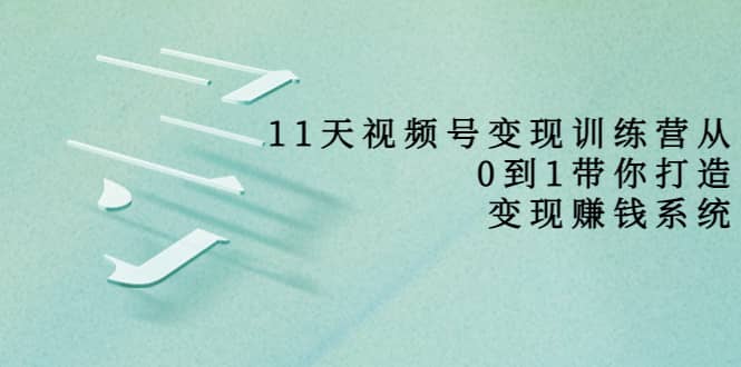 好望角·11天视频号变现训练营，从0到1打造变现赚钱系统（价值398）网创库-网创项目资源站-副业项目-创业项目-搞钱项目网创库