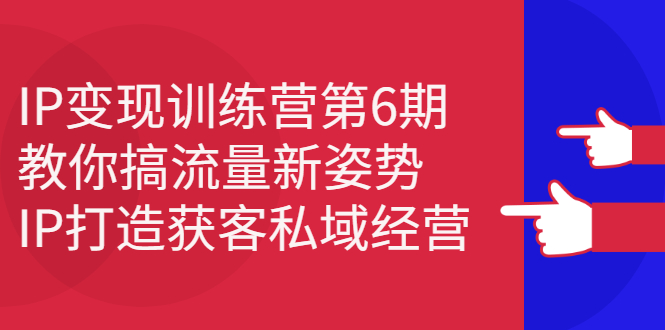 IP变现训练营第6期：教你搞流量新姿势，IP打造获客私域经营网创库-网创项目资源站-副业项目-创业项目-搞钱项目网创库