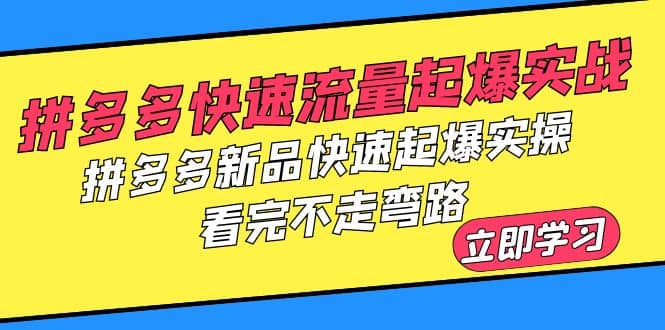 拼多多-快速流量起爆实战，拼多多新品快速起爆实操，看完不走弯路网创库-网创项目资源站-副业项目-创业项目-搞钱项目网创库