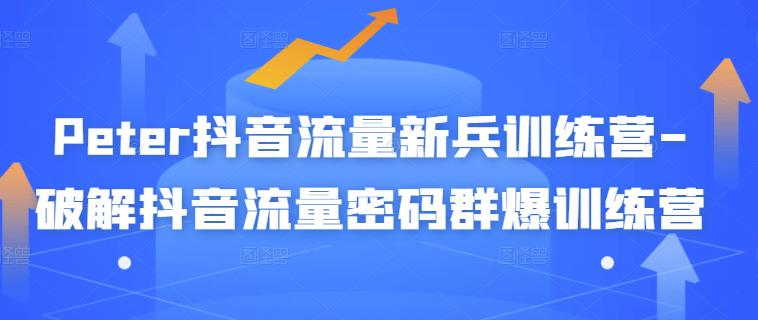 Peter抖音流量新兵训练营-破解抖音流量密码群爆训练营（新兵）网创库-网创项目资源站-副业项目-创业项目-搞钱项目网创库