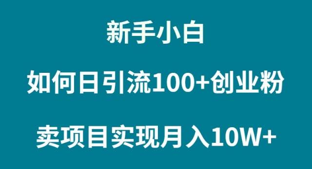 新手小白如何通过卖项目实现月入10W+网创库-网创项目资源站-副业项目-创业项目-搞钱项目网创库