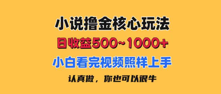 小说撸金核心玩法，日收益500-1000+，小白看完照样上手，0成本有手就行网创库-网创项目资源站-副业项目-创业项目-搞钱项目网创库
