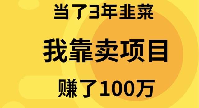 当了3年韭菜，我靠卖项目赚了100万网创库-网创项目资源站-副业项目-创业项目-搞钱项目网创库