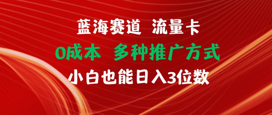蓝海赛道 流量卡 0成本 小白也能日入三位数网创库-网创项目资源站-副业项目-创业项目-搞钱项目网创库