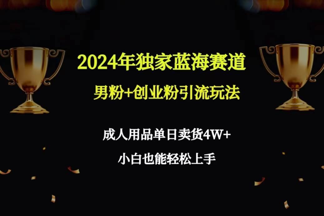 2024年独家蓝海赛道男粉+创业粉引流玩法，成人用品单日卖货4W+保姆教程网创库-网创项目资源站-副业项目-创业项目-搞钱项目网创库