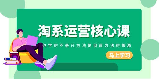 淘系-运营核心课，你学的不是只方法是创造方法的根源（190节课）网创库-网创项目资源站-副业项目-创业项目-搞钱项目网创库