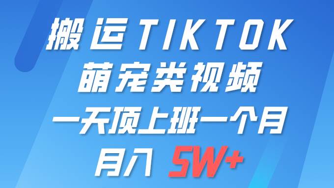 一键搬运TIKTOK萌宠类视频 一部手机即可操作 所有平台均可发布 轻松月入5W+网创库-网创项目资源站-副业项目-创业项目-搞钱项目网创库