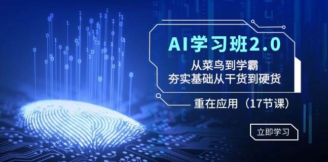 AI学习班2.0：从菜鸟到学霸，夯实基础从干货到硬货，重在应用（17节课）网创库-网创项目资源站-副业项目-创业项目-搞钱项目网创库
