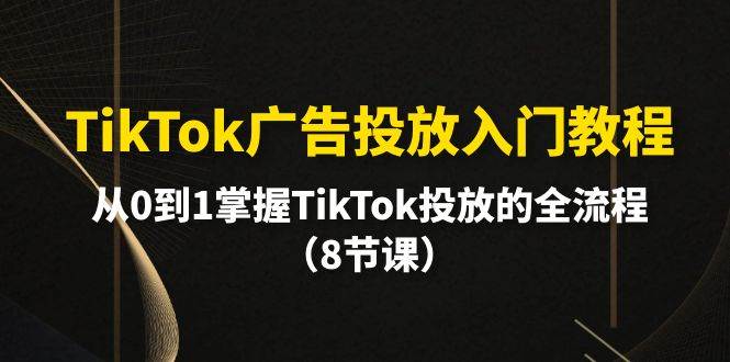 TikTok广告投放入门教程，从0到1掌握TikTok投放的全流程（8节课）网创库-网创项目资源站-副业项目-创业项目-搞钱项目网创库