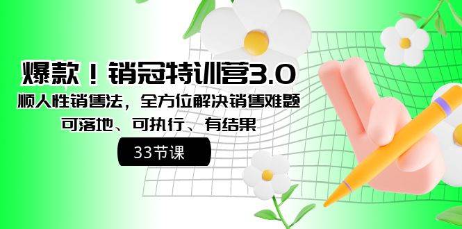 爆款！销冠特训营3.0之顺人性销售法，全方位解决销售难题、可落地、可执行、有结果网创库-网创项目资源站-副业项目-创业项目-搞钱项目网创库