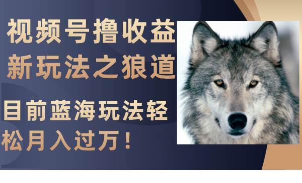 视频号撸收益新玩法之狼道，目前蓝海玩法轻松月入过万！网创库-网创项目资源站-副业项目-创业项目-搞钱项目网创库