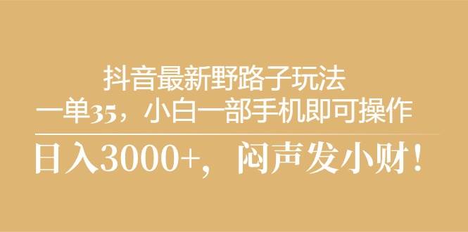 抖音最新野路子玩法，一单35，小白一部手机即可操作，，日入3000+，闷…网创库-网创项目资源站-副业项目-创业项目-搞钱项目网创库