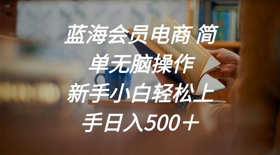 蓝海会员电商 简单无脑操作 新手小白轻松上手日入500＋网创库-网创项目资源站-副业项目-创业项目-搞钱项目网创库