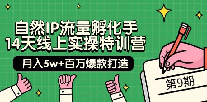 自然IP流量孵化手 14天线上实操特训营【第9期】月入5w+百万爆款打造 (74节)网创库-网创项目资源站-副业项目-创业项目-搞钱项目网创库