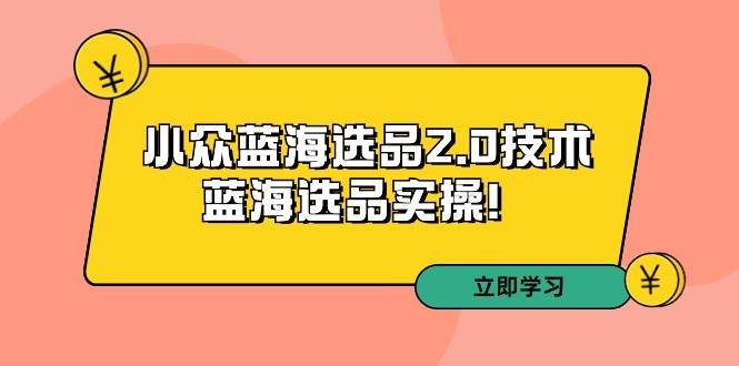 拼多多培训第33期：小众蓝海选品2.0技术-蓝海选品实操！网创库-网创项目资源站-副业项目-创业项目-搞钱项目网创库