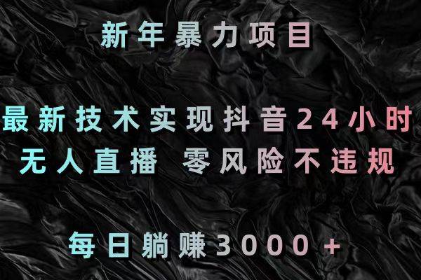 新年暴力项目，最新技术实现抖音24小时无人直播 零风险不违规 每日躺赚3000网创库-网创项目资源站-副业项目-创业项目-搞钱项目网创库
