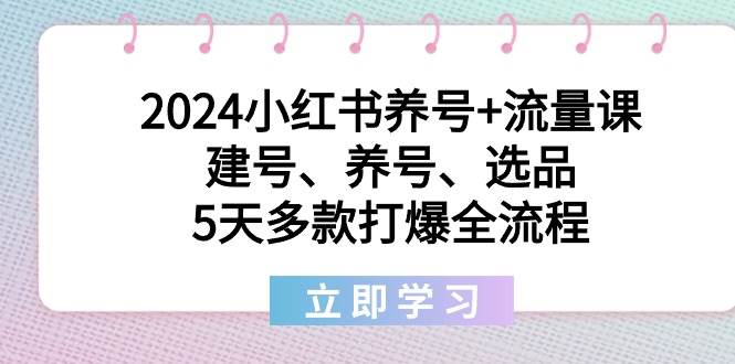 2024小红书养号+流量课：建号、养号、选品，5天多款打爆全流程网创库-网创项目资源站-副业项目-创业项目-搞钱项目网创库