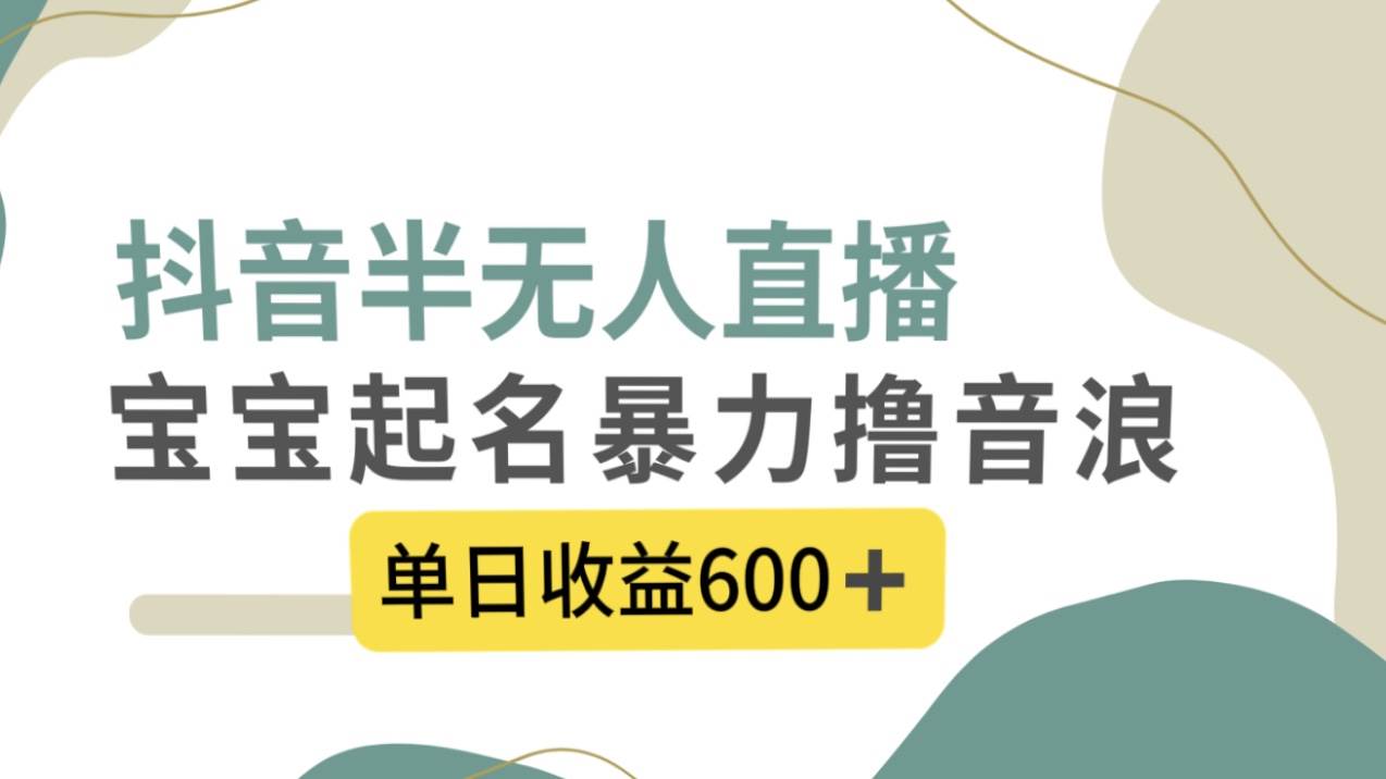 抖音半无人直播，宝宝起名，暴力撸音浪，单日收益600+网创库-网创项目资源站-副业项目-创业项目-搞钱项目网创库