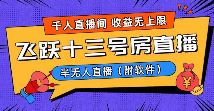 爆火飞跃十三号房半无人直播，一场直播上千人，日入过万！（附软件）网创库-网创项目资源站-副业项目-创业项目-搞钱项目网创库