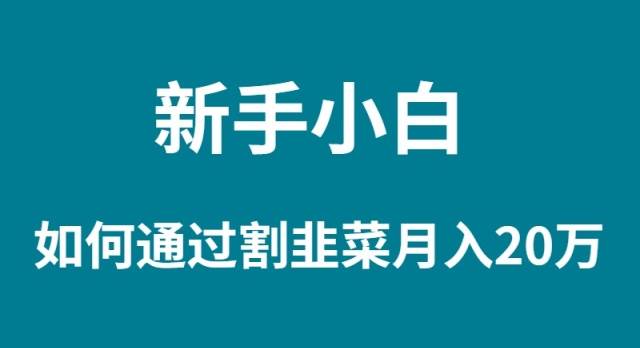 新手小白如何通过割韭菜月入 20W网创库-网创项目资源站-副业项目-创业项目-搞钱项目网创库