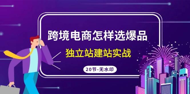 跨境电商怎样选爆品，独立站建站实战（20节高清无水印课）网创库-网创项目资源站-副业项目-创业项目-搞钱项目网创库