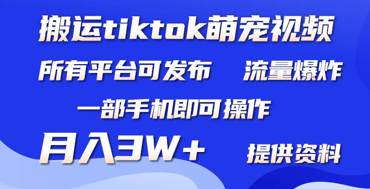 搬运Tiktok萌宠类视频，一部手机即可。所有短视频平台均可操作，月入3W+网创库-网创项目资源站-副业项目-创业项目-搞钱项目网创库