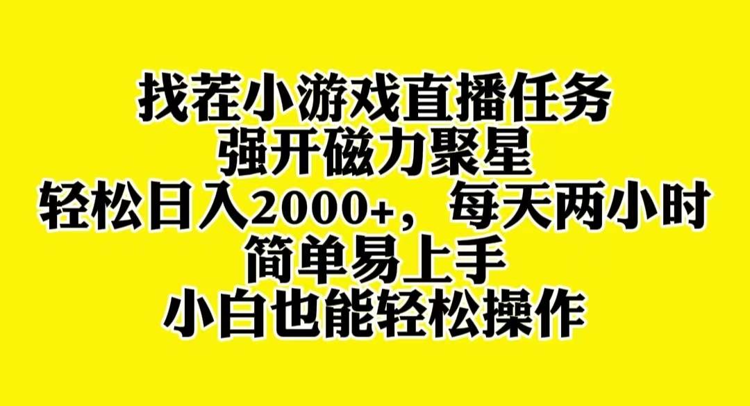 找茬小游戏直播，强开磁力聚星，轻松日入2000+，小白也能轻松上手网创库-网创项目资源站-副业项目-创业项目-搞钱项目网创库