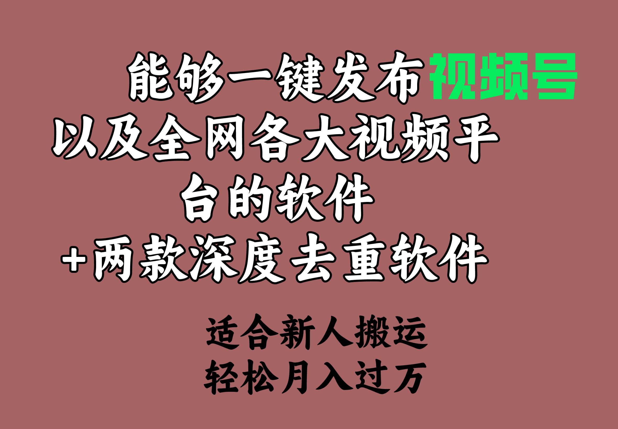 能够一键发布视频号以及全网各大视频平台的软件+两款深度去重软件 适合…网创库-网创项目资源站-副业项目-创业项目-搞钱项目网创库